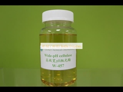 W-62 / W-83 섬유 효소